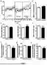 Fig. 07 - OXYTOCIN-MIMETIC COMPOSITIONS AND USES THEREOF