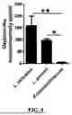 Fig. 08 - OXYTOCIN-MIMETIC COMPOSITIONS AND USES THEREOF