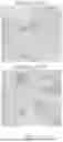 Fig. 04 - LACTOBACILLUS PLANTARUM, LACTIC ACID BACTERIA COMPOSITION AND USE THEREOF FOR TREATING AND/OR PREVENTING HEAVY METAL RELATED DISEASES