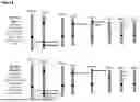 Fig. 06 - Yeast Platform for the Production of Vaccines