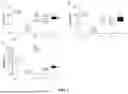 Fig. 03 - VALERIAN COMPOSITION FOR SLEEP MANAGEMENT