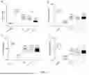 Fig. 04 - VALERIAN COMPOSITION FOR SLEEP MANAGEMENT