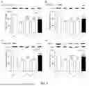Fig. 05 - VALERIAN COMPOSITION FOR SLEEP MANAGEMENT