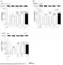 Fig. 06 - VALERIAN COMPOSITION FOR SLEEP MANAGEMENT