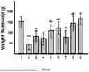Fig. 07 - Pharmaceutical Composition for Promoting Neurogenesis and Method of Utilizing Gastrodia Elata Extract or Adenosine Analog for Promoting Neurogenesis