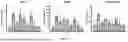 Fig. 10 - Pharmaceutical Composition for Promoting Neurogenesis and Method of Utilizing Gastrodia Elata Extract or Adenosine Analog for Promoting Neurogenesis