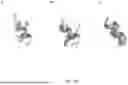 Fig. 11 - POLYPEPTIDES HAVING ANTI-INFLAMMATORY EFFECTS AND USES THEREOF
