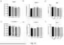 Fig. 17 - POLYPEPTIDES HAVING ANTI-INFLAMMATORY EFFECTS AND USES THEREOF