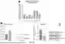Fig. 32 - POLYPEPTIDES HAVING ANTI-INFLAMMATORY EFFECTS AND USES THEREOF