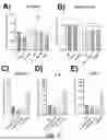 Fig. 33 - POLYPEPTIDES HAVING ANTI-INFLAMMATORY EFFECTS AND USES THEREOF