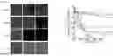 Fig. 01 - METHODS FOR TREATING CATARACTS USING POLYPEPTIDES