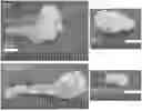 Fig. 01 - COMPOSITIONS AND METHODS FOR THE MODULATION OF PIEZO1 AND TRPV4