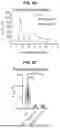 Fig. 15 - COMPOSITIONS AND METHODS FOR THE MODULATION OF PIEZO1 AND TRPV4