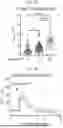 Fig. 17 - COMPOSITIONS AND METHODS FOR THE MODULATION OF PIEZO1 AND TRPV4