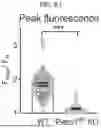 Fig. 19 - COMPOSITIONS AND METHODS FOR THE MODULATION OF PIEZO1 AND TRPV4