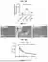 Fig. 34 - COMPOSITIONS AND METHODS FOR THE MODULATION OF PIEZO1 AND TRPV4
