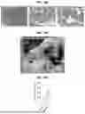 Fig. 38 - COMPOSITIONS AND METHODS FOR THE MODULATION OF PIEZO1 AND TRPV4