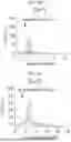 Fig. 48 - COMPOSITIONS AND METHODS FOR THE MODULATION OF PIEZO1 AND TRPV4