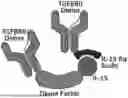 Fig. 01 - METHODS OF TREATING BRONCHOPULMONARY DYSPLASIA