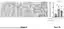 Fig. 11 - METHODS OF TREATING BRONCHOPULMONARY DYSPLASIA