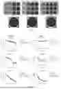 Fig. 04 - RECOMBINANT HSV-1 VECTOR FOR ENCODING IMMUNOSTIMULATORY FACTOR AND ANTI-IMMUNE CHECKPOINT ANTIBODY