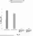 Fig. 09 - METHODS AND COMPOSITIONS FOR METHIONINE RESTRICTION