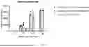 Fig. 14 - IMMUNE TOLERANCE INDUCTION TO VIRAL CAPSIDS