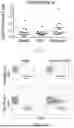 Fig. 04 - MUTANT CALR-PEPTIDE BASED VACCINE