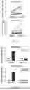 Fig. 05 - MUTANT CALR-PEPTIDE BASED VACCINE