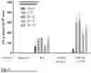 Fig. 04 - COMPOSITIONS, METHODS AND USES FOR THERMALLY STABLE BROAD-SPECTRUM HUMAN PAPILLOMAVIRUS FORMULATIONS