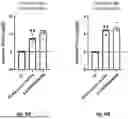 Fig. 40 - Bicistronic LAMP Constructs Comprising Immune Response Enhancing Genes and Methods of Use Thereof