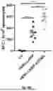 Fig. 44 - Bicistronic LAMP Constructs Comprising Immune Response Enhancing Genes and Methods of Use Thereof