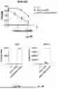 Fig. 45 - Bicistronic LAMP Constructs Comprising Immune Response Enhancing Genes and Methods of Use Thereof