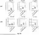 Fig. 46 - Bicistronic LAMP Constructs Comprising Immune Response Enhancing Genes and Methods of Use Thereof