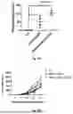 Fig. 49 - Bicistronic LAMP Constructs Comprising Immune Response Enhancing Genes and Methods of Use Thereof