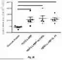 Fig. 54 - Bicistronic LAMP Constructs Comprising Immune Response Enhancing Genes and Methods of Use Thereof