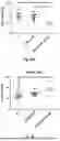 Fig. 68 - Bicistronic LAMP Constructs Comprising Immune Response Enhancing Genes and Methods of Use Thereof