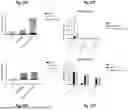 Fig. 76 - Bicistronic LAMP Constructs Comprising Immune Response Enhancing Genes and Methods of Use Thereof