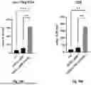 Fig. 79 - Bicistronic LAMP Constructs Comprising Immune Response Enhancing Genes and Methods of Use Thereof