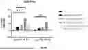 Fig. 84 - Bicistronic LAMP Constructs Comprising Immune Response Enhancing Genes and Methods of Use Thereof