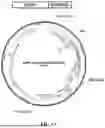 Fig. 02 - METHODS TO INCREASE IMMUNOGENICITY OF RDRP