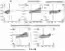 Fig. 11 - METHODS TO INCREASE IMMUNOGENICITY OF RDRP