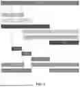 Fig. 16 - METHODS TO INCREASE IMMUNOGENICITY OF RDRP