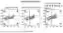 Fig. 23 - METHODS TO INCREASE IMMUNOGENICITY OF RDRP