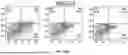 Fig. 30 - METHODS TO INCREASE IMMUNOGENICITY OF RDRP
