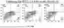 Fig. 32 - METHODS TO INCREASE IMMUNOGENICITY OF RDRP