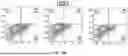 Fig. 34 - METHODS TO INCREASE IMMUNOGENICITY OF RDRP