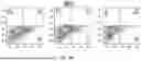 Fig. 35 - METHODS TO INCREASE IMMUNOGENICITY OF RDRP