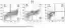 Fig. 40 - METHODS TO INCREASE IMMUNOGENICITY OF RDRP