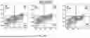 Fig. 42 - METHODS TO INCREASE IMMUNOGENICITY OF RDRP